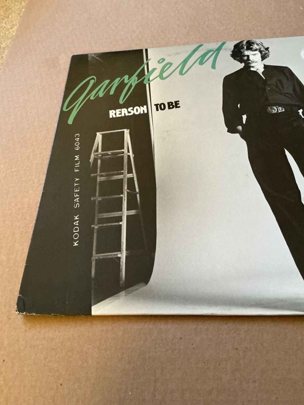Garfield Reason To Be Vinyl Polydor 1979 - Picture 13 of 13